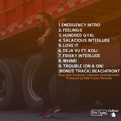 Recording artiste Drizl set to Release "Mood Swing" EP