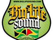 Our Sound System Logo