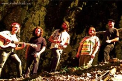 Kiwi Reggae album 'On The Move' Review