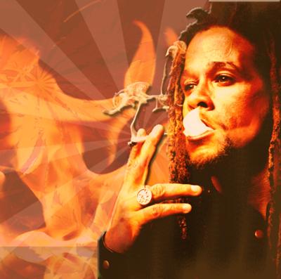 P-Dub & Predator Dub Assassins