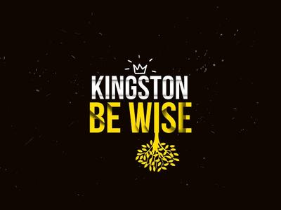 Kingston Be Wise