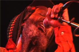 Reggae/Rock Artist Jahmings Maccow