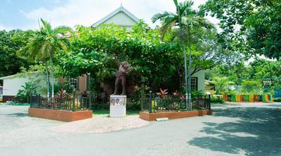 The Bob Marley Museum History and Tours
