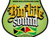 Our Sound System Logo